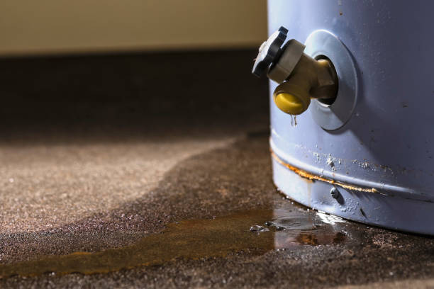 Best Fire Damage Restoration  in Abaster, AL