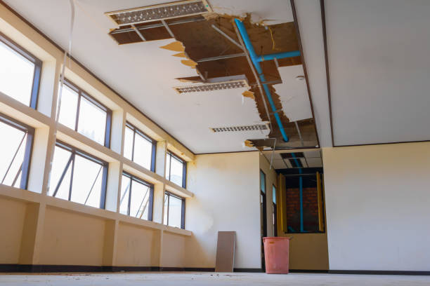 Best Water damage restoration near me  in Abaster, AL