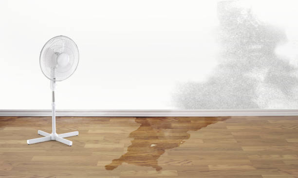 Water damage restoration experts in Alabaster, AL