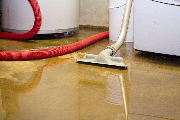 Best Flood damage cleanup  in Abaster, AL