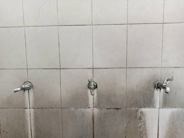 Best 24/7 water damage repair  in Abaster, AL