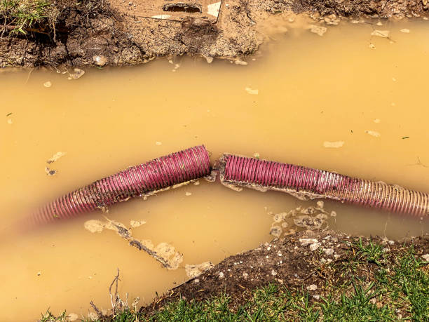 Best Water damage restoration experts  in Abaster, AL